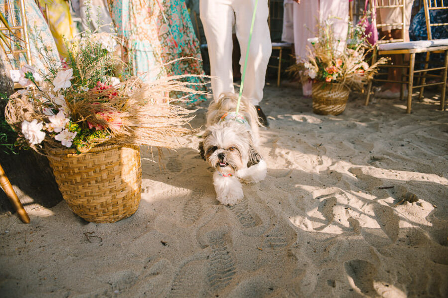 Descripción de la imagen 62